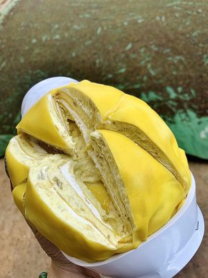 Sỉ lẻ bánh crepe sầu riêng giá rẻ. Mua bán Đồ ăn, thực phẩm và các loại khác tại Huyện Đắk Mil Đắk Nông được đăng bởi Thúy Kiều
