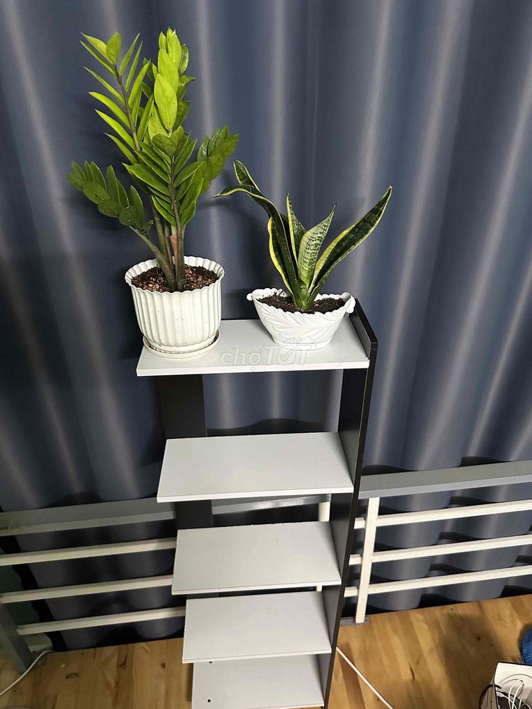 Kệ decor gỗ 5 tầng giá chỉ 149k. Mua bán Tủ, kệ gia đình tại Quận Bình Thuỷ Cần Thơ được đăng bởi Trinh Trần hình 1