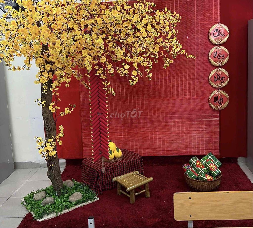 Mình cần tl cây mai mới mua decor Tết. Thân cây th