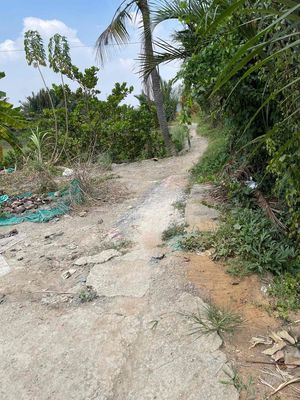 Đất 300 m² · Đường Tám Phàm