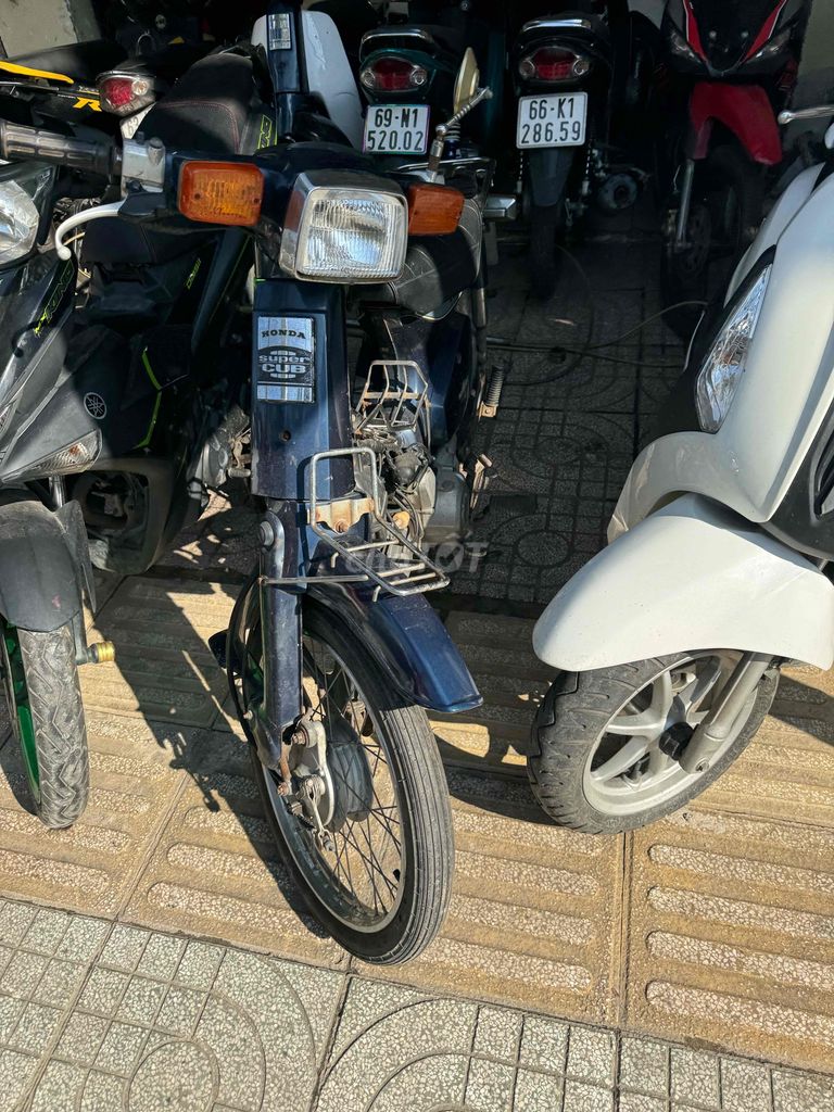 custum trùm 50cc mền ngay chủ