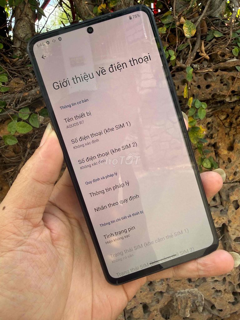 Sharp AQUOS R7 256GB Đen 2 SIM. Mua bán Điện thoại tại Quận Bình Tân Tp Hồ Chí Minh được đăng bởi nguyễn sang  hình 1