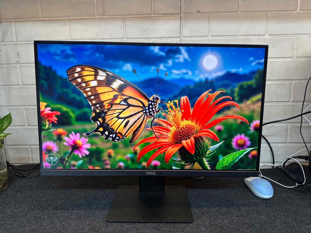 Bán Màn Dell Ultrasharp 2K Màn đồ hoạ Full HD. Mua bán Phụ kiện (Màn hình, Chuột...) tại Quận Phú Nhuận Tp Hồ Chí Minh được đăng bởi tiến tài 770 nguyễn kiệm p4 quận phú nhuận hình 1