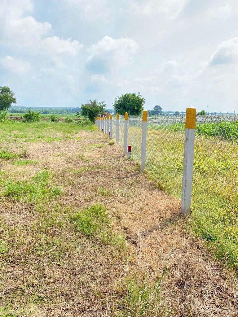 Đất Láng Dài. Mua bán Đất tại Huyện Đất Đỏ Bà Rịa - Vũng Tàu được đăng bởi Thơm Võ hình 4