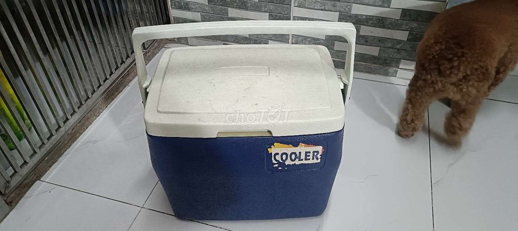 Thùng đá 13 lít Thái Lan giữ lạnh tốt . Mua bán Nội thất, đồ gia dụng khác tại Huyện Bình Chánh Tp Hồ Chí Minh được đăng bởi PHUONG KIM hình 1