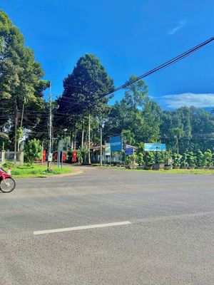 View đẹp sát DT770B
