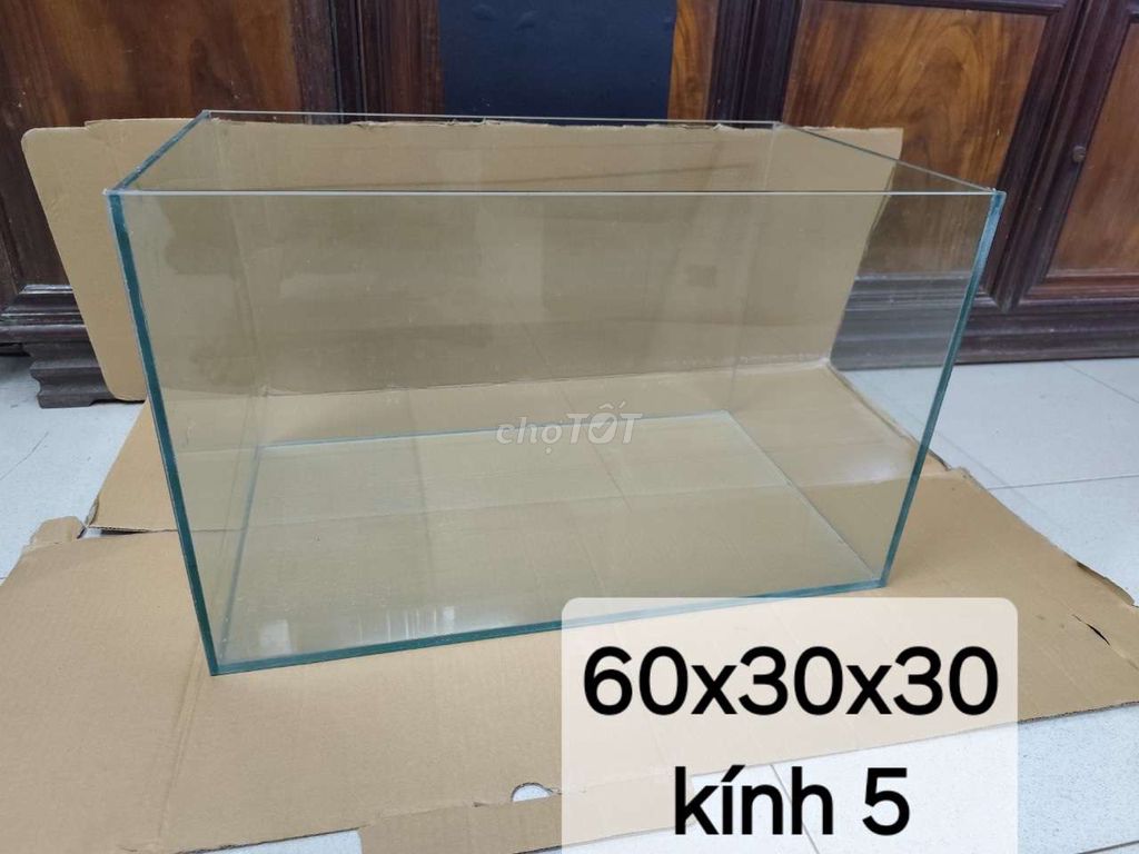 Bể kính Việt Nhật 5 li 60x30x30 cm. Mua bán Phụ kiện, Thức ăn, Dịch vụ tại Quận Thanh Xuân Hà Nội được đăng bởi alo tớ nè hình 1