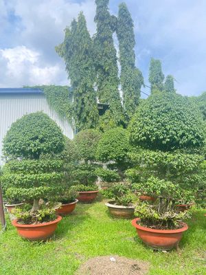 TUYỂN TÀI XẾ XE TẢI