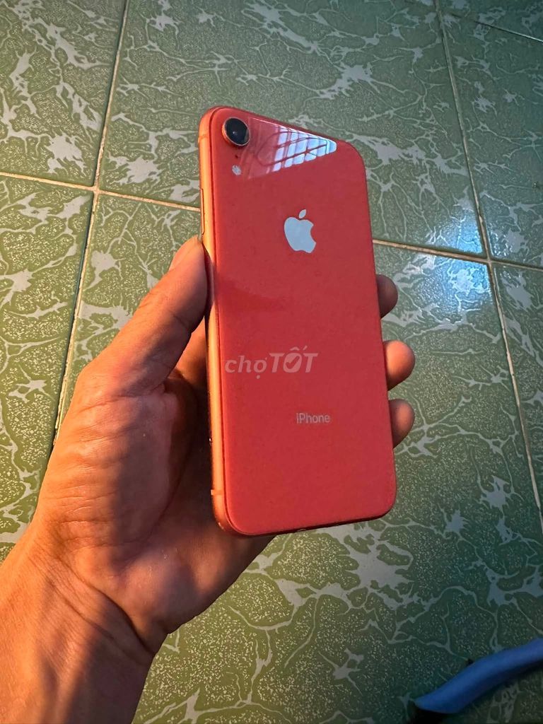 Apple iPhone XR 64GB Đỏ 73%. Mua bán Điện thoại tại Quận 10 Tp Hồ Chí Minh được đăng bởi Hội Đồ Điện Tử hình 1