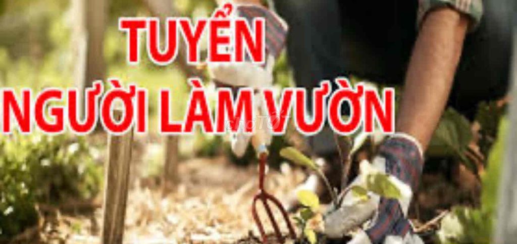 Tuyển người chăm vườn nhà