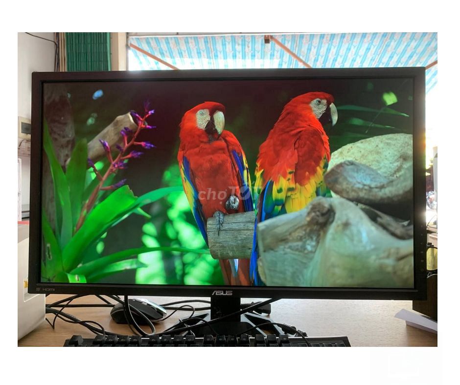 Màn hình Asus 4k 28 inch có loa