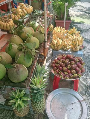 Trái cây Miền Tây (Bến tre). Mua bán Đồ ăn, thực phẩm và các loại khác tại Quận Bình Thạnh Tp Hồ Chí Minh được đăng bởi Thứ Nguyễn
