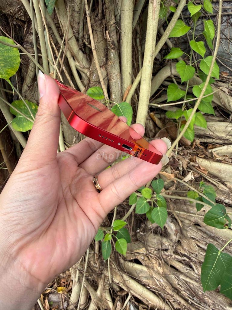 Apple iPhone 12 128GB Đỏ. Mua bán Điện thoại tại Thành phố Vũng Tàu Bà Rịa - Vũng Tàu được đăng bởi BINHHYK  hình 1