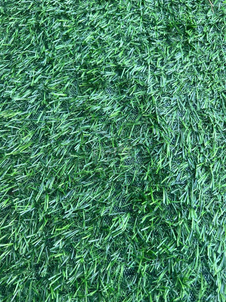 (2m*2m) 4m vuông thảm cỏ nhân tạo Xanh lá. Mua bán Cây cảnh, đồ trang trí tại Quận Bình Tân Tp Hồ Chí Minh được đăng bởi cỏ nhân tạo hình 1