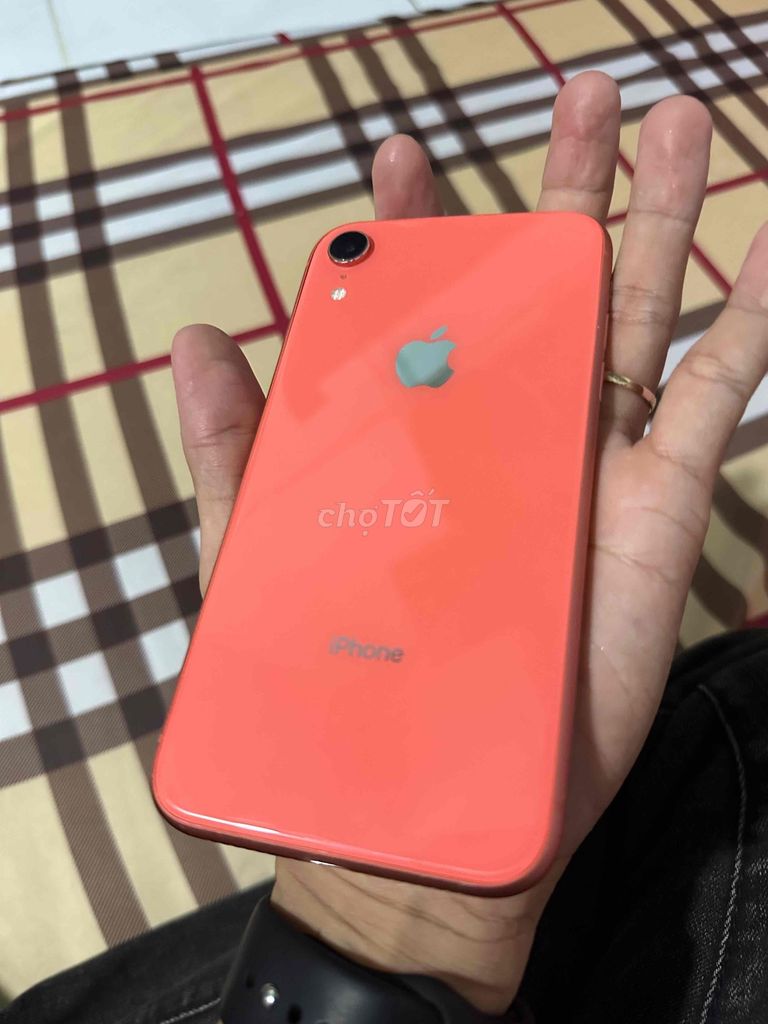 iPhone XR 128GB Cam zin đẹp có gl. Mua bán Điện thoại tại Quận 12 Tp Hồ Chí Minh được đăng bởi Thành Công hình 1