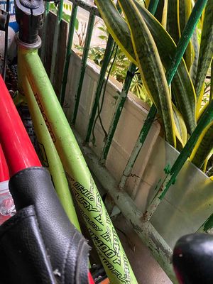 Xe đạp thể thao dư dùng. Mua bán Xe đạp tại Thành phố Cà Mau Cà Mau được đăng bởi P