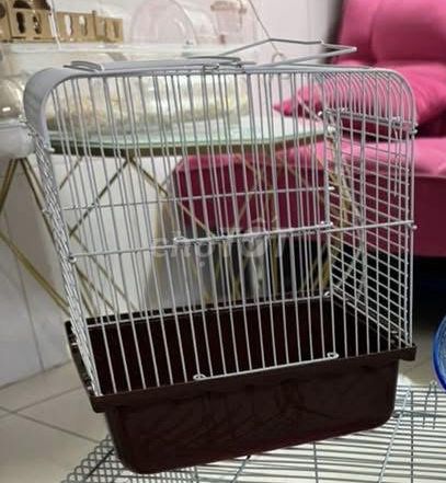 PASS Hamter 1 con Bear 1 con Robo 2 lồng đủ phụ k. Mua bán Thú cưng khác tại Thành phố Biên Hòa Đồng Nai được đăng bởi Quynh Nhat hình 4