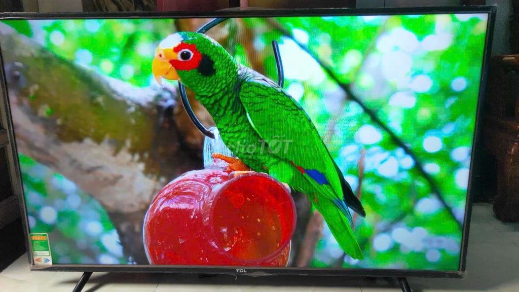 smart tv TCL 43IN 4K giọng nói youtube nhanh mượt . Mua bán Tivi, Âm thanh tại Huyện Bình Chánh Tp Hồ Chí Minh được đăng bởi Thi thom Pham hình 1