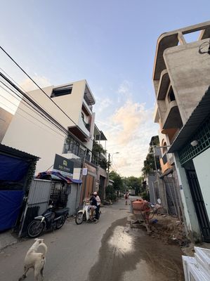 Plot of land 50.4 m² · Đường Trường Lưu
