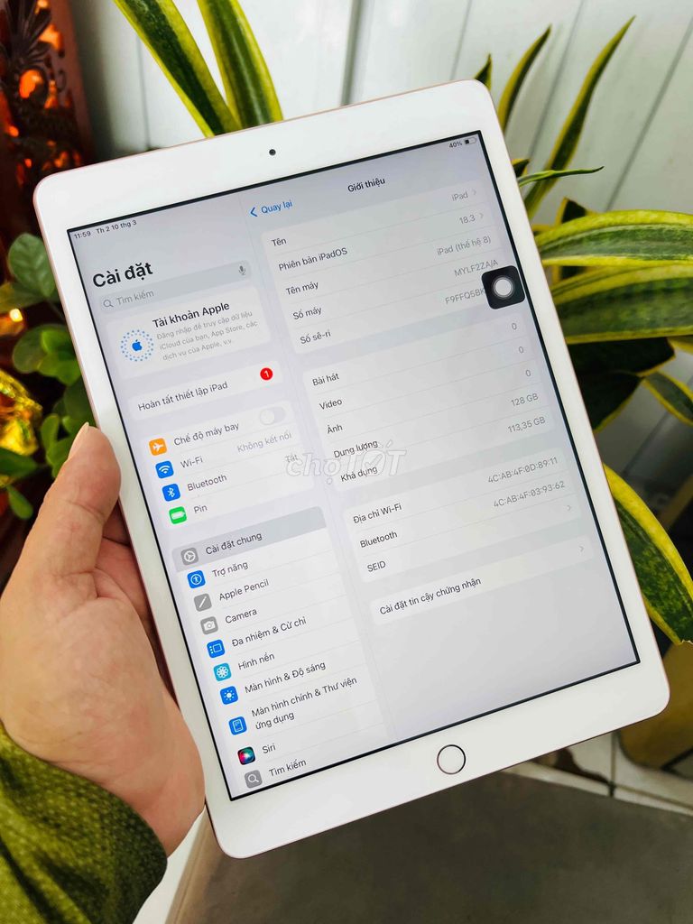 ipad gen 8 128g gold wifi zin chuẩn