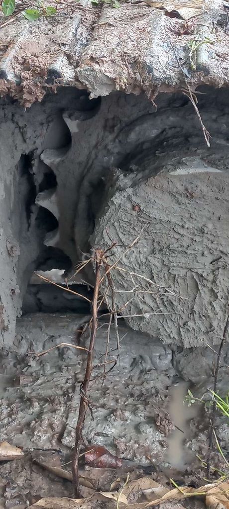 Cần bán lại xe đào. Mua bán Phương tiện khác tại Huyện Củ Chi Tp Hồ Chí Minh được đăng bởi quan hình 5