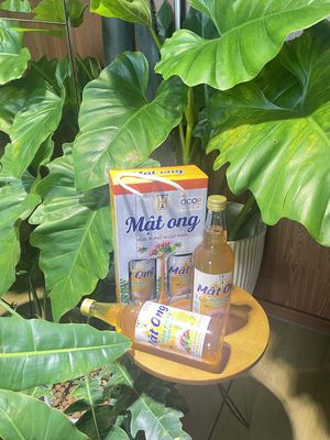 Mật ong  Hoa rừng ngập mặn , chứng chỉ OCOP 4 sao. Mua bán Đồ ăn, thực phẩm và các loại khác tại Quận Tân Phú Tp Hồ Chí Minh được đăng bởi Hồ Sơn Điền