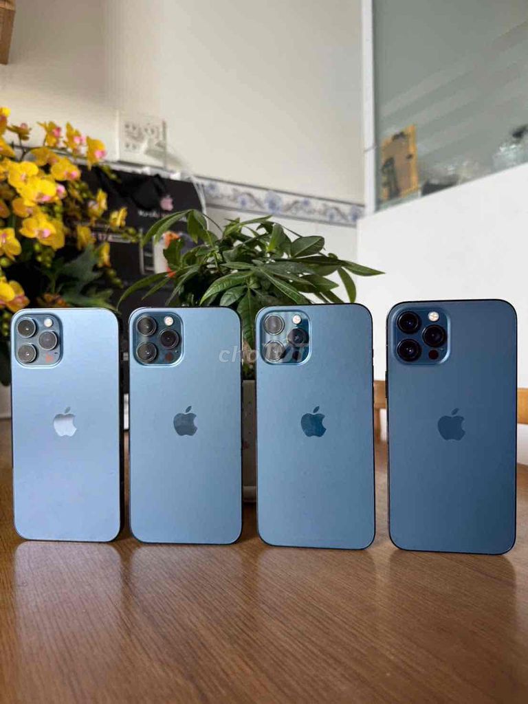Apple iPhone 12 Pro Max 128GB Xanh 99% Mỹ. Mua bán Điện thoại tại Quận Ninh Kiều Cần Thơ được đăng bởi Khải mobile hình 1