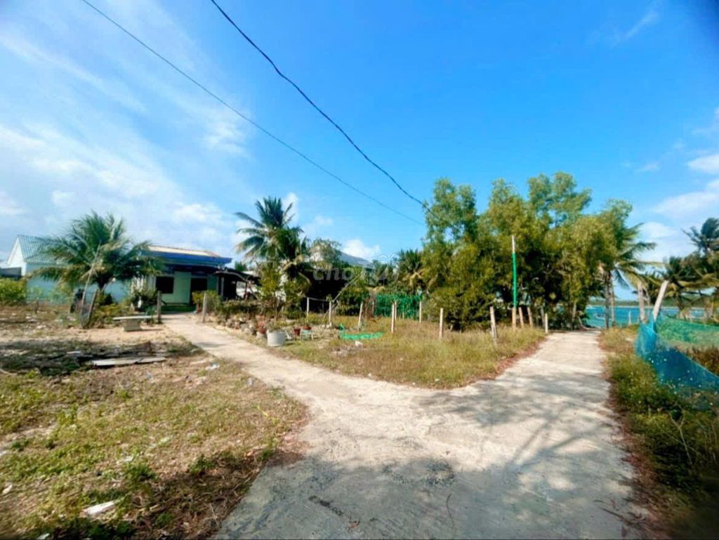 Đất biển Phú Yên - Rẻ - Đẹp - Ngon  DT : 470m2 có 60m2 thổ cư.. Mua bán đất tại Thị xã Sông Cầu Phú Yên được đăng bởi Nguyễn Thị Kiều Trang hình 3