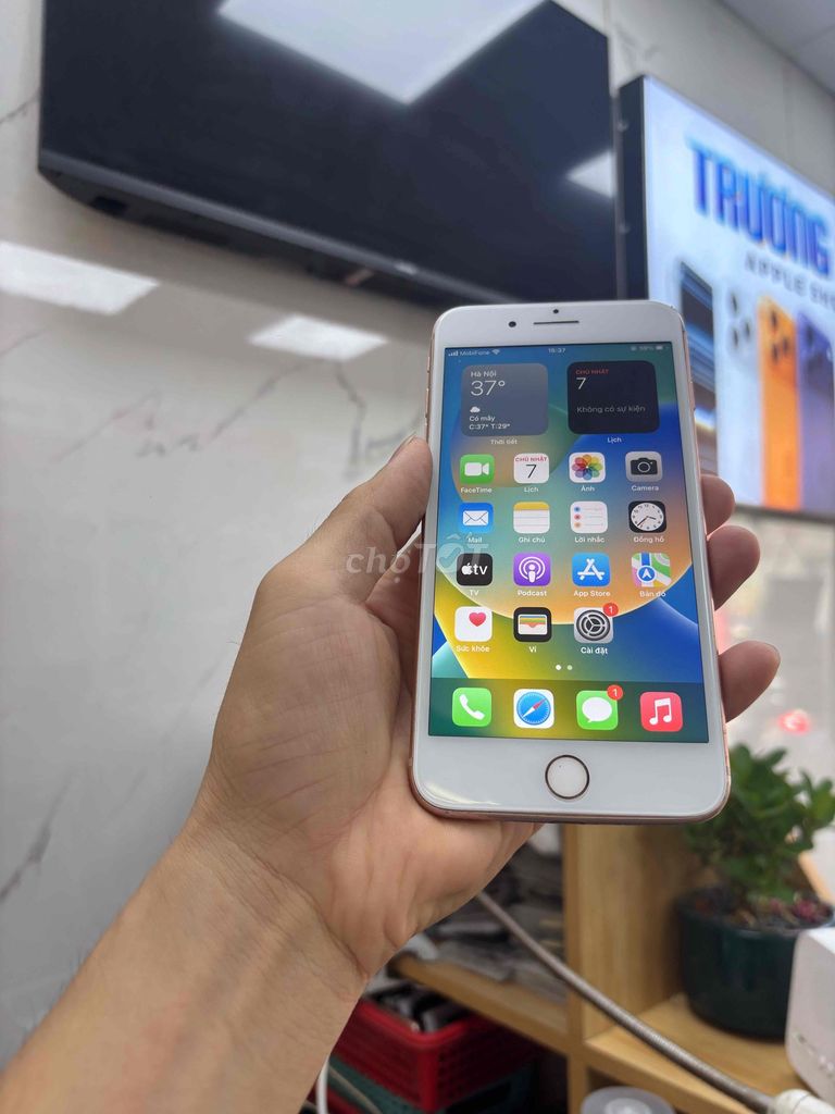 Apple iPhone 8 Plus 64GB Vàng hồng. Mua bán Điện thoại tại Quận Sơn Trà Đà Nẵng được đăng bởi Diễm Diễm hình 1