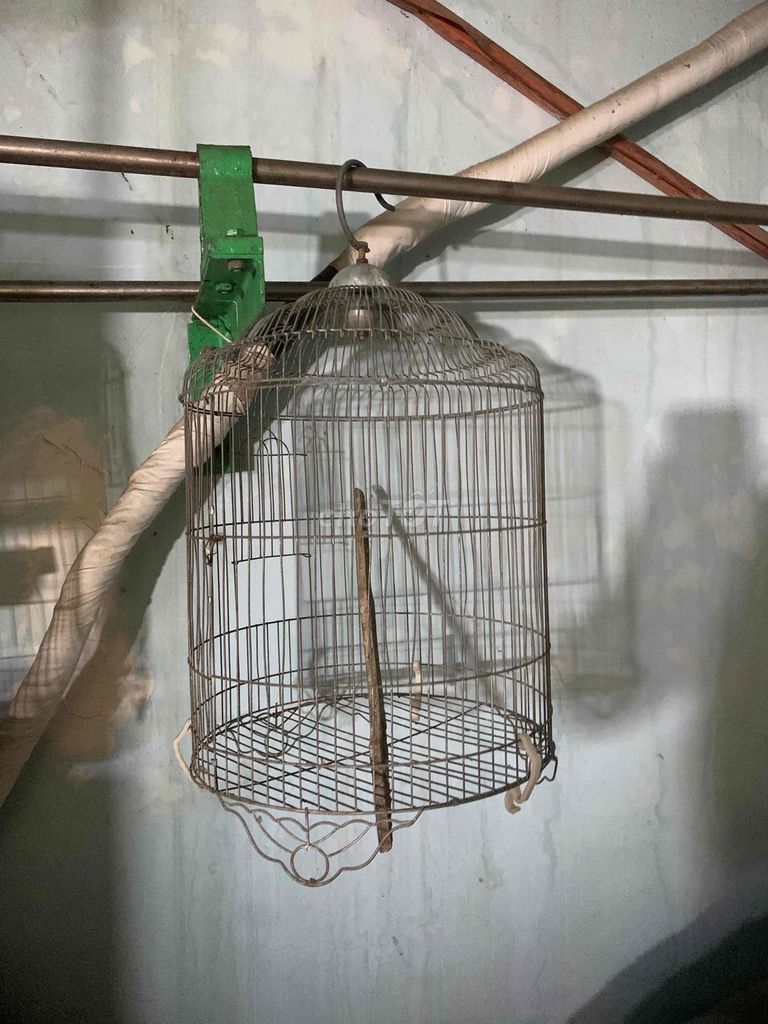 Lồng chim Kim loại Xám. Mua bán Phụ kiện, Thức ăn, Dịch vụ tại Thành phố Dĩ An Bình Dương được đăng bởi Thành Lê hình 1
