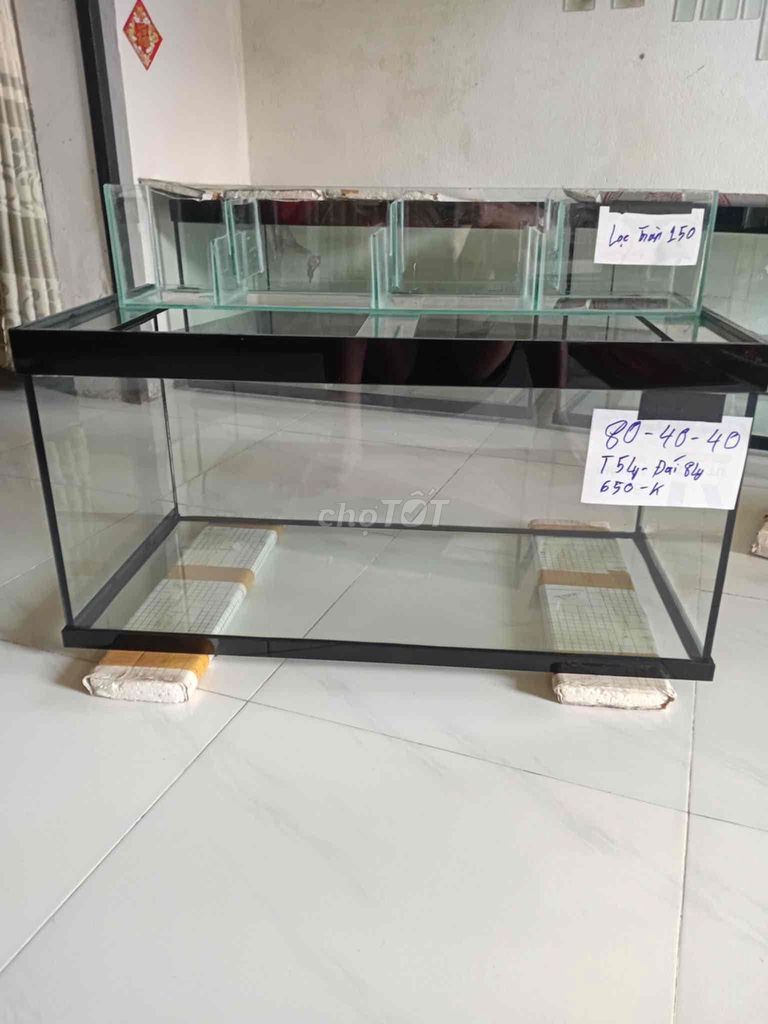 Bể cá cảnh Kính trong suốt 80x40x40 cm. Mua bán Phụ kiện, Thức ăn, Dịch vụ tại Huyện Gò Dầu Tây Ninh được đăng bởi tín vê chai hình 1