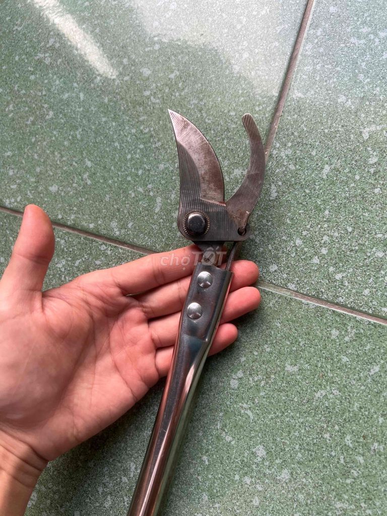 Kéo cắt cành Sắt Đỏ, Bạc 1.5m 95%. Mua bán Cây cảnh, đồ trang trí tại Thành phố Châu Đốc An Giang được đăng bởi Lê Bình Cầm Đồ 2 hình 1