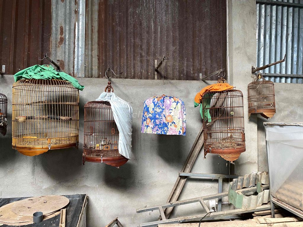 Lồng chim tre gỗ đã sử dụng. Mua bán Phụ kiện, Thức ăn, Dịch vụ tại Huyện Trảng Bom Đồng Nai được đăng bởi Trần Vương Quốc hình 1