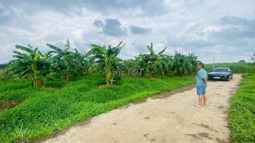 BÁN 2000 M2 ĐÂT XA  XUÂN ĐÔNG TP ĐỒNG NAI
