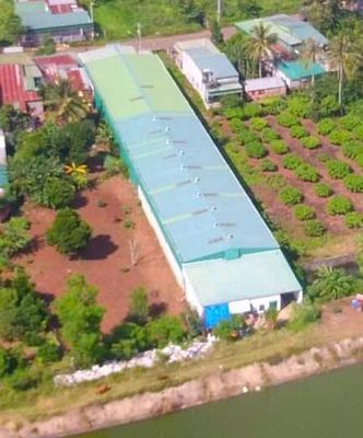 Cho thuê kho xây sẵn diện tích 1500 m² - Krong Pack - Dak Lak. Cho thuê văn phòng, mặt bằng kinh doanh tại Huyện Krông Pắc Đắk Lắk được đăng bởi Do Ngoc Hai