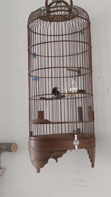 Bộ hút mật 7 màu. Mua bán Chim tại Quận 12 Tp Hồ Chí Minh được đăng bởi Nguyễn phan