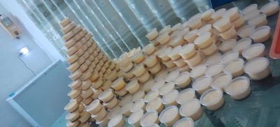 SỮA BÒ TƯƠI CỦ CHI. Mua bán Đồ ăn, thực phẩm và các loại khác tại Huyện Củ Chi Tp Hồ Chí Minh được đăng bởi Tran sen