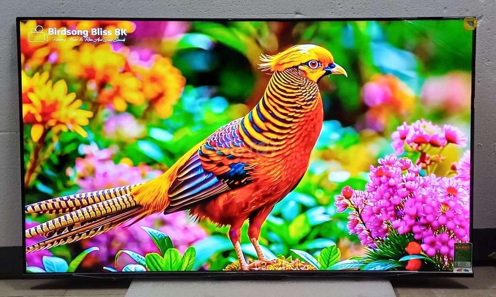 Tivi 55 inch 4k mới 100% full thùng bh 2 năm. Mua bán Tivi, Âm thanh tại Quận Ninh Kiều Cần Thơ được đăng bởi Luật Nguyễn hình 1