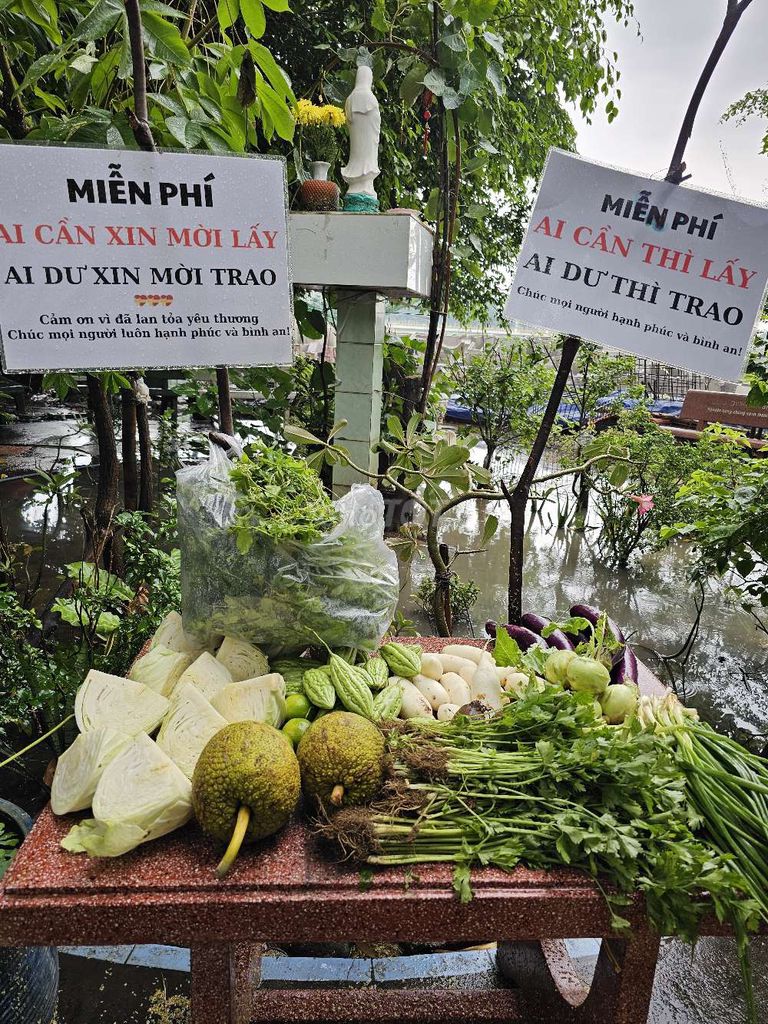 Rau củ miễn phí