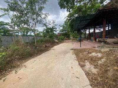 Nhà vườn đẹp Long Phước, Bà Rịa sẵn tiểu cảnh giá thơm nức mũi. Mua bán nhà ở tại Thành phố Bà Rịa Bà Rịa - Vũng Tàu được đăng bởi Châu Trinh