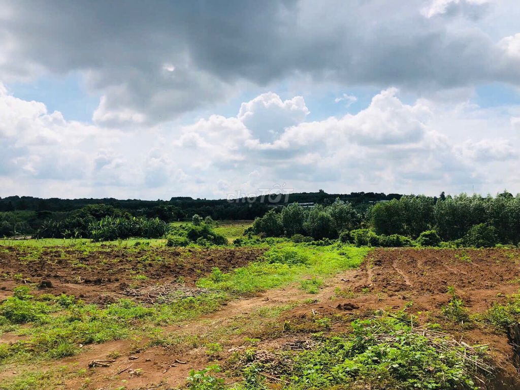 8,2HA ĐẤT LÀM DỰ ÁN NHÀ Ở THƯƠNG MẠI HOẶC KHU NGHỈ DƯỠNG 