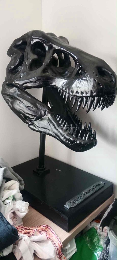 Mô hình T-Rex Đen. Mua bán Sở thích khác tại Thành phố Thủ Dầu Một Bình Dương được đăng bởi Long Lê  hình 1