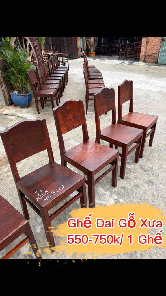 Ghế đai gỗ Nội Thất Hoàng An. Mua bán Bàn ghế tại Quận Bình Tân Tp Hồ Chí Minh được đăng bởi Đồ Gỗ HOÀNG AN  hình 1