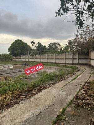 Kiếm đâu ra khu này lô thổ 103m2 giá 299tr. Mua bán đất tại Huyện Tân Trụ Long An được đăng bởi nguyễn anh tuấn
