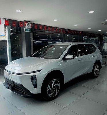 VINFAST LIMO GREEN- 100 TRIỆU NHẬN XE- BAO NỢ XẤU