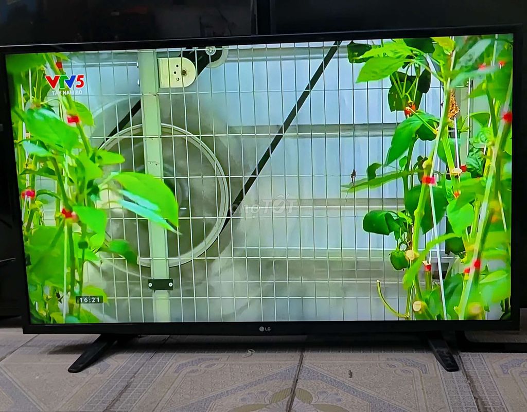 Lg43inh led