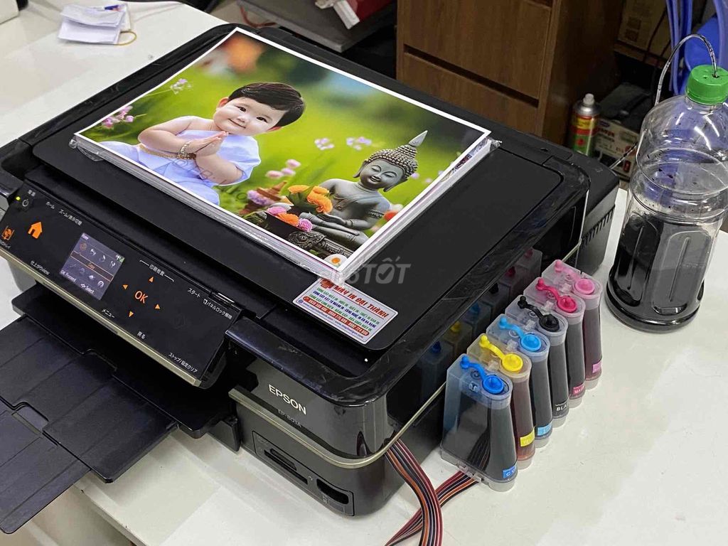 bán máy in epson a803 in ảnh đẹp. Mua bán Đồ dùng văn phòng tại Huyện Xuyên Mộc Bà Rịa - Vũng Tàu được đăng bởi Nguyễn đình thông hình 1
