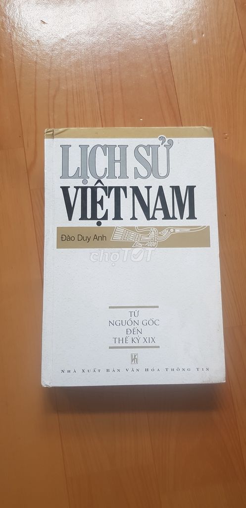 Lịch sử Việt Nam