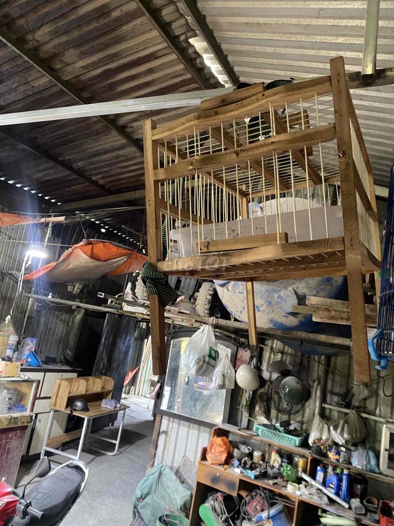 Lồng tắm chim Gỗ đã qua sử dụng. Mua bán Phụ kiện, Thức ăn, Dịch vụ tại Thị xã Tân Uyên Bình Dương được đăng bởi nhớ hình 1