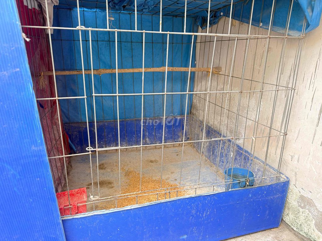Lồng gà kim loại 1m. Mua bán Phụ kiện, Thức ăn, Dịch vụ tại Quận 12 Tp Hồ Chí Minh được đăng bởi Dũng Nguyễn hình 1